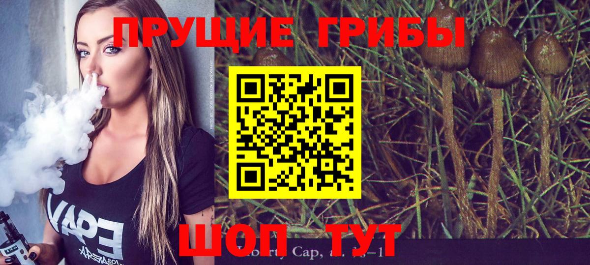 Галлюциногенные грибы Psilocybine cubensis Новокубанск